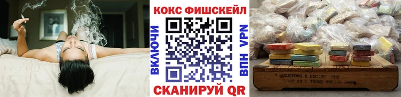 COCAIN Fish Scale  купить наркотик  Гороховец 