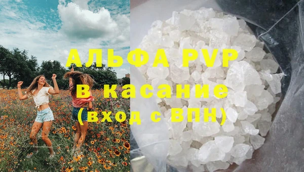 не бодяженный Богданович