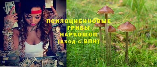 шишки Бородино