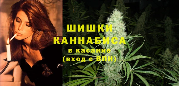 гашик Бронницы