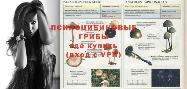 МДМА Бородино