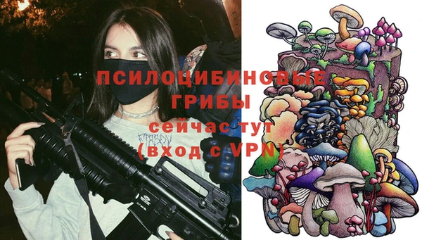 МДМА Бородино