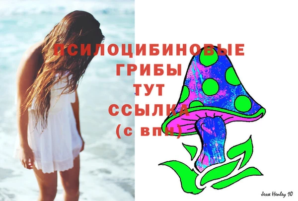 МДМА Бородино