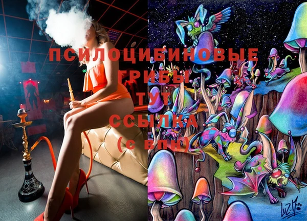 спиды Богородск