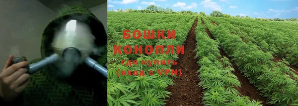 не бодяженный Богданович