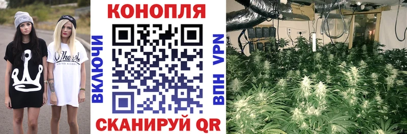 Конопля MAZAR  где купить   Гороховец 